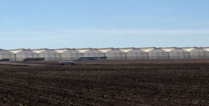 Afectaciones por bajas temperaturas en el sector agrícola