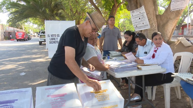 Invitan a participar como observadores electorales
