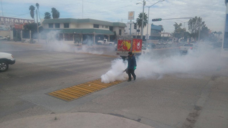 Fumigan ductos del drenaje pluvial