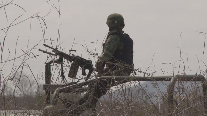 Disminuye siembra de marihuana en Sinaloa: SEDENA