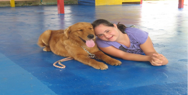 Universidad de EEUU avala uso de perros terapéuticos en cuidados intensivos