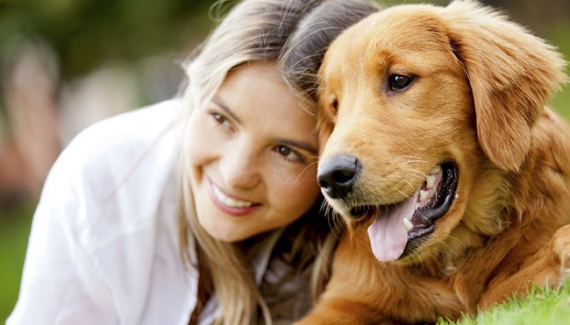 #Test ¿Los perros son mascotas ideales para ti?