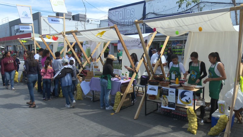 Destacan buenos resultados del festival de la papa