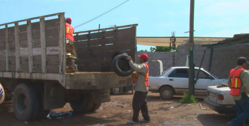 Anuncian campaña nacional de prevención del dengue