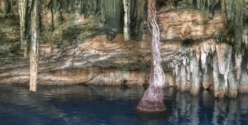 Rechazan criadero de cerdos cerca de cenotes