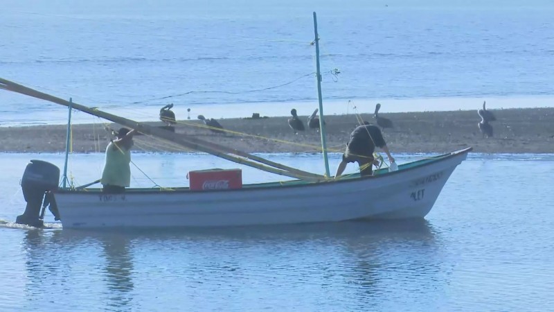 Habrá empleo temporal para pescadores