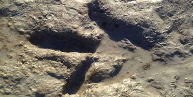 Huellas de dinosaurios en isla escocesa de Skye arrojan luz sobre evolución