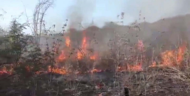 Tres incendios forestales en Álamos
