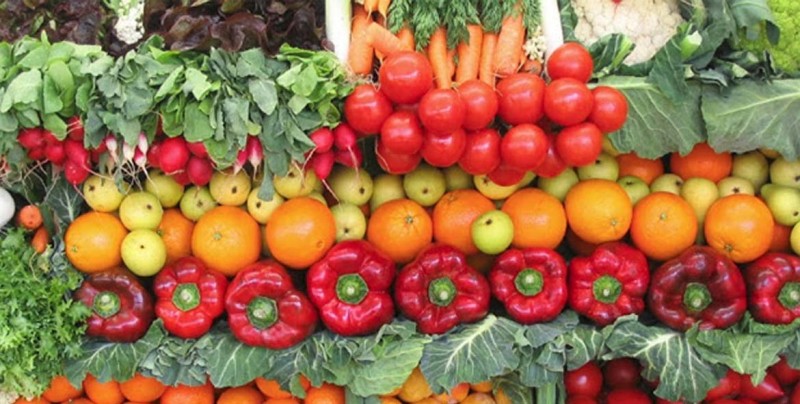 ¿Es mejor el alimento orgánico que el industrializado? En realidad son iguales