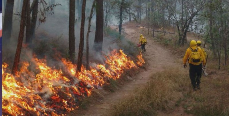 Suman 18 incendios forestales en Sinaloa