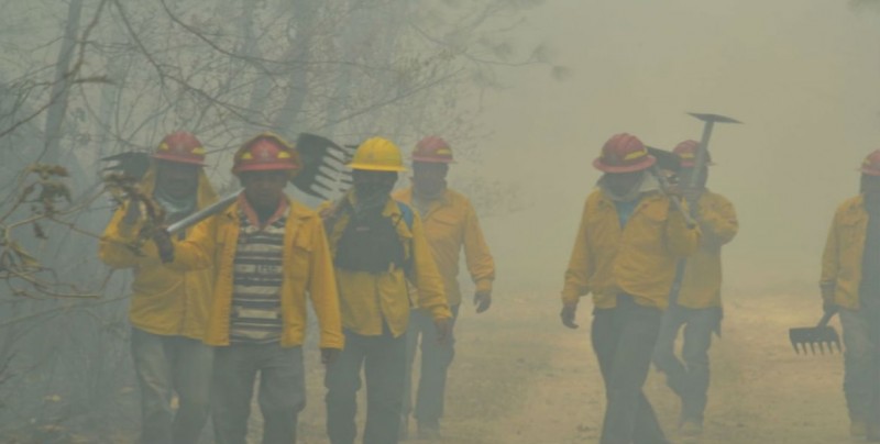 Persiste incendio en Bosque, zona metropolitana de Guadalajara