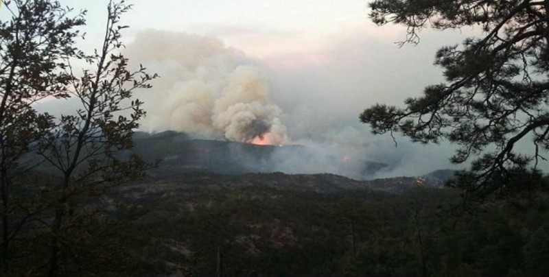 Autoridad combate incendio forestal en sierra de Chihuahua
