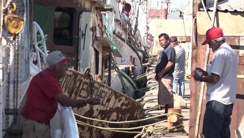 Piden apoyo pescadores de altamar, viven de manera precaria