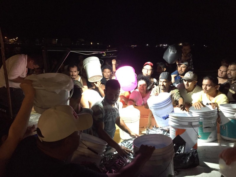 Se vive en Mazatlán la "fiesta" del Pajarito