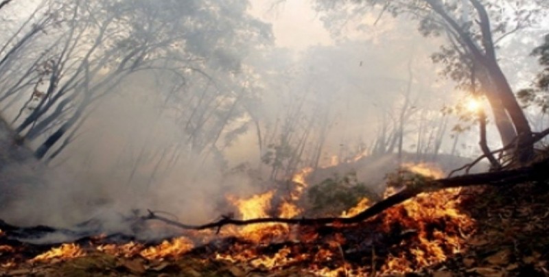 Suman 30 incendios forestales en lo que va del 2018