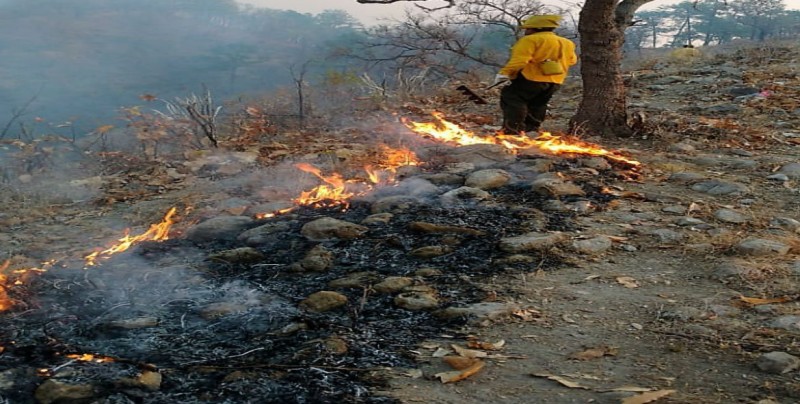 Incendio forestal en Cuitaboca