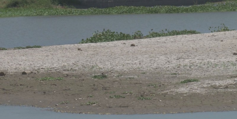 Se secan los ríos de Culiacán