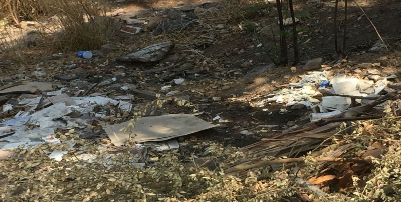 Lleno de basura y ramas un lote baldío en Cañadas