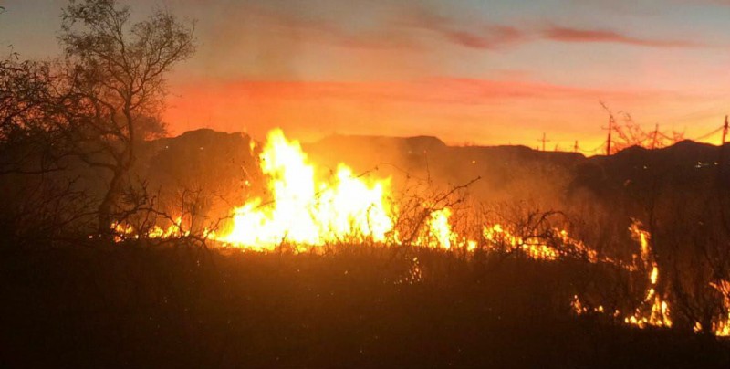 Incrementan incendios por ola de calor en Sonora