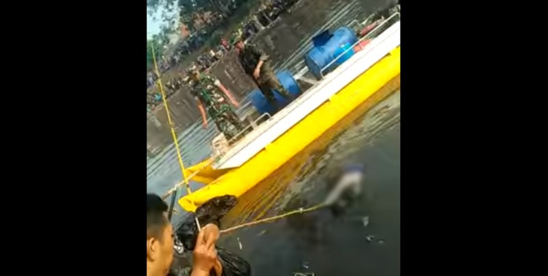 #VideoFuerte Cree haber pescado un enorme ejemplar en un río y esto fue lo que saco