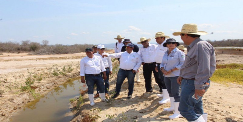 Supervisan autoridades estatales y federales restauración de marismas