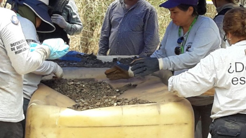 FGES: Más de 5 mil fragmentos óseos encontrados en San Pedro