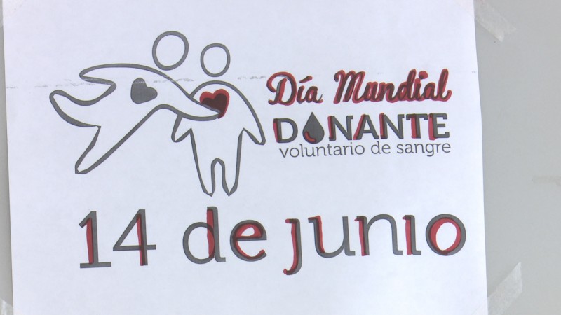 14 de junio día mundial del donante de sangre