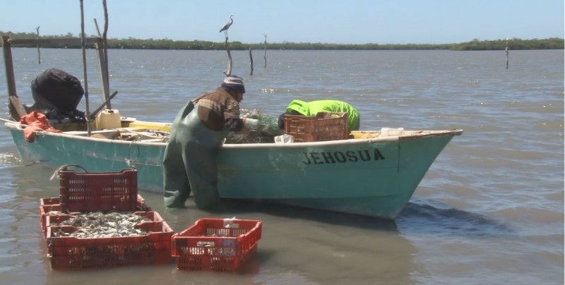 Avanza el empleo temporal en el sector pesquero