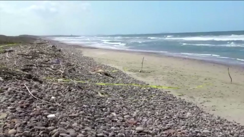 Localizan cuerpo sin vida en playas de Mármol
