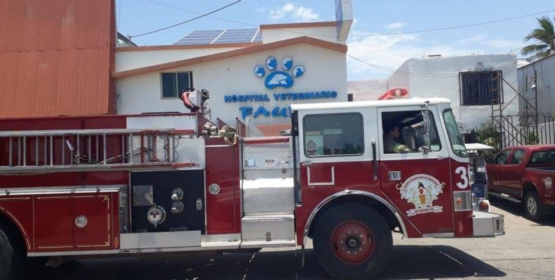 Se incendia veterinaria; Logran salvar a mascotas