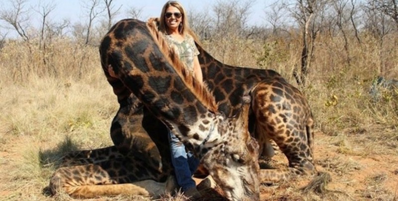 #Fotos Mujer mata a jirafa negra y causa indignación en la red