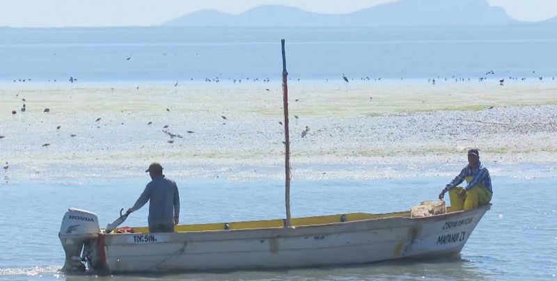 Atenderán problemas de adicciones en campos pesqueros