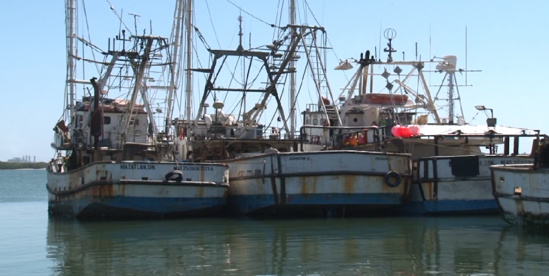 Acusa Canainpesca generación de conflicto entre pescadores