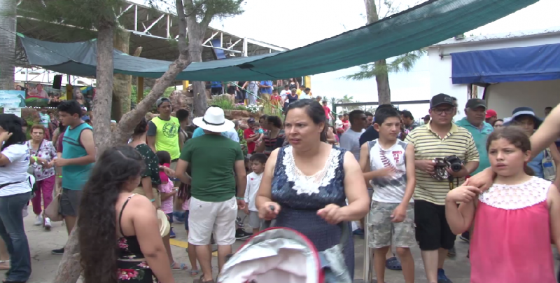 Hasta 4 mil 500 visitantes al día registra Acuario Mazatlán