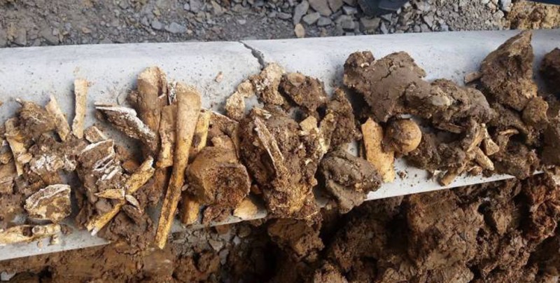 Hallan 199 restos óseos en un rastreo en Chihuahua