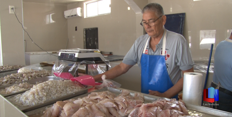 En Cajeme, pescaderías disminuyen ventas por el regreso a clases