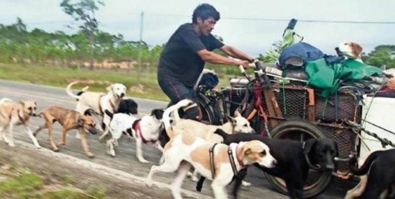 Edgardo, el hombre que atraviesa México rescatando perros abandonados