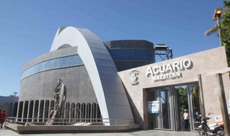 Recibe Acuario Mazatlán turistas navieros