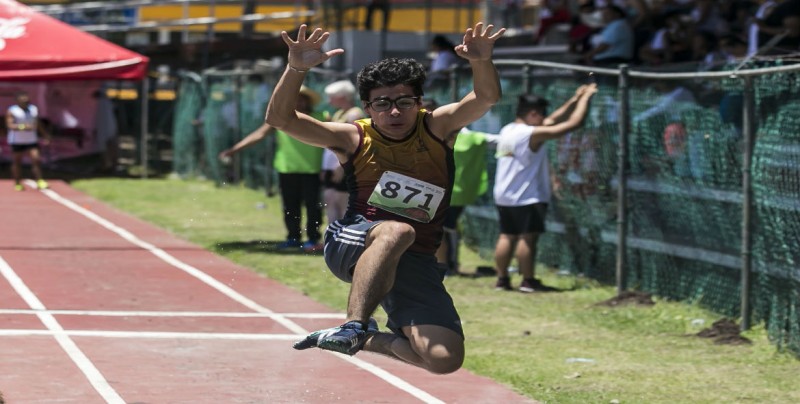 11 medallas de oro en Paralimpiada para Sinaloa