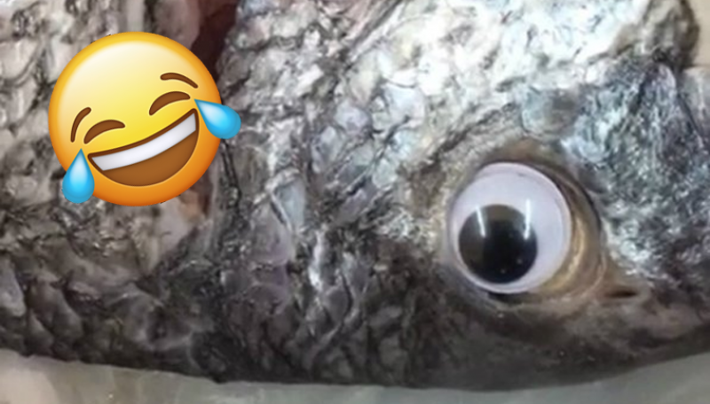 Una pescadería cierra por ponerle ojos falsos a los pescados