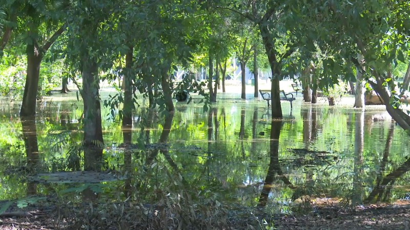 Siguen sacando agua del Jardín Botánico