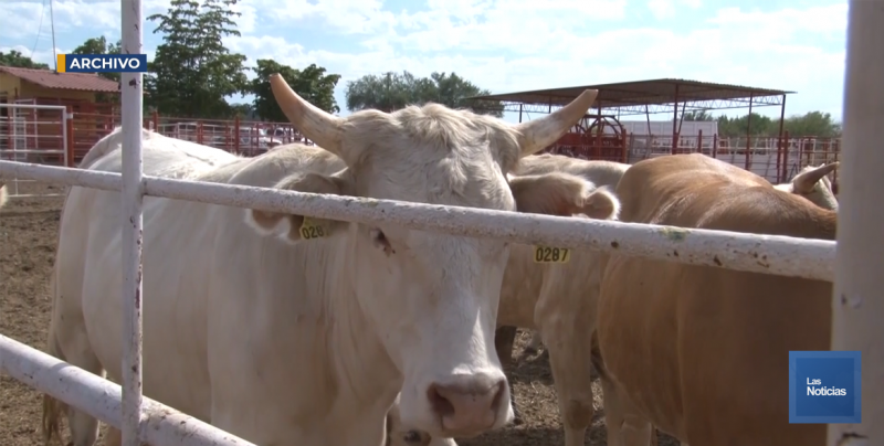 Descartan que haya carne contaminada en Sonora