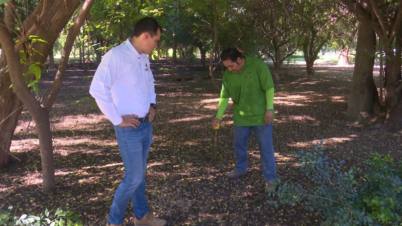 Sin poder operar aún el parque Sinaloa