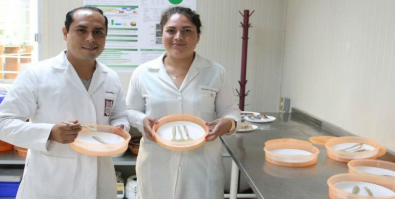 Estudiantes del IPN crean cubiertos comestibles a base de salvado de arroz