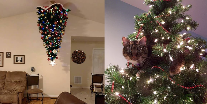 Ingeniosas maneras de proteger tu pino de navidad de gatos y perros