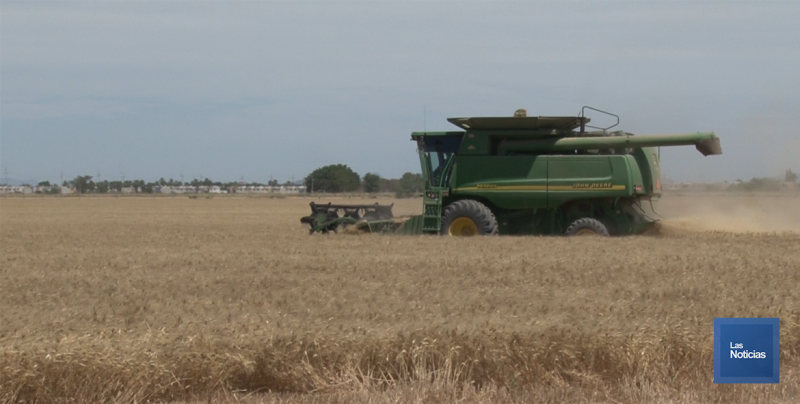 Buscan buen presupuesto para el campo mexicano