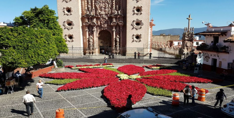 Inauguran monumental tapete de flor de nochebuena en Taxco, Guerrero