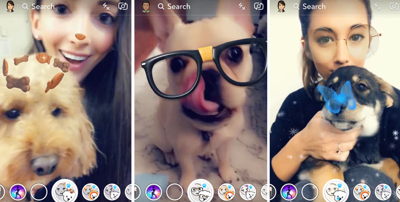 Snapchat lanza filtros para perros
