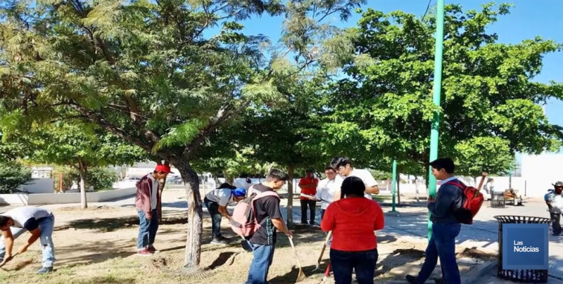 Alumnos de CONALEP Sonora, crean primer huerto escolar