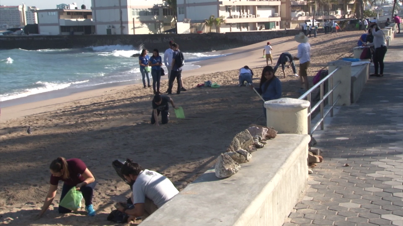 Limpian la playa Pinitos